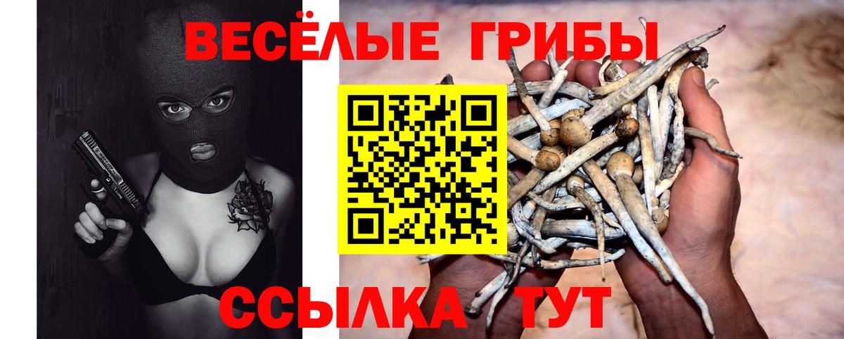 APVP Ирбит